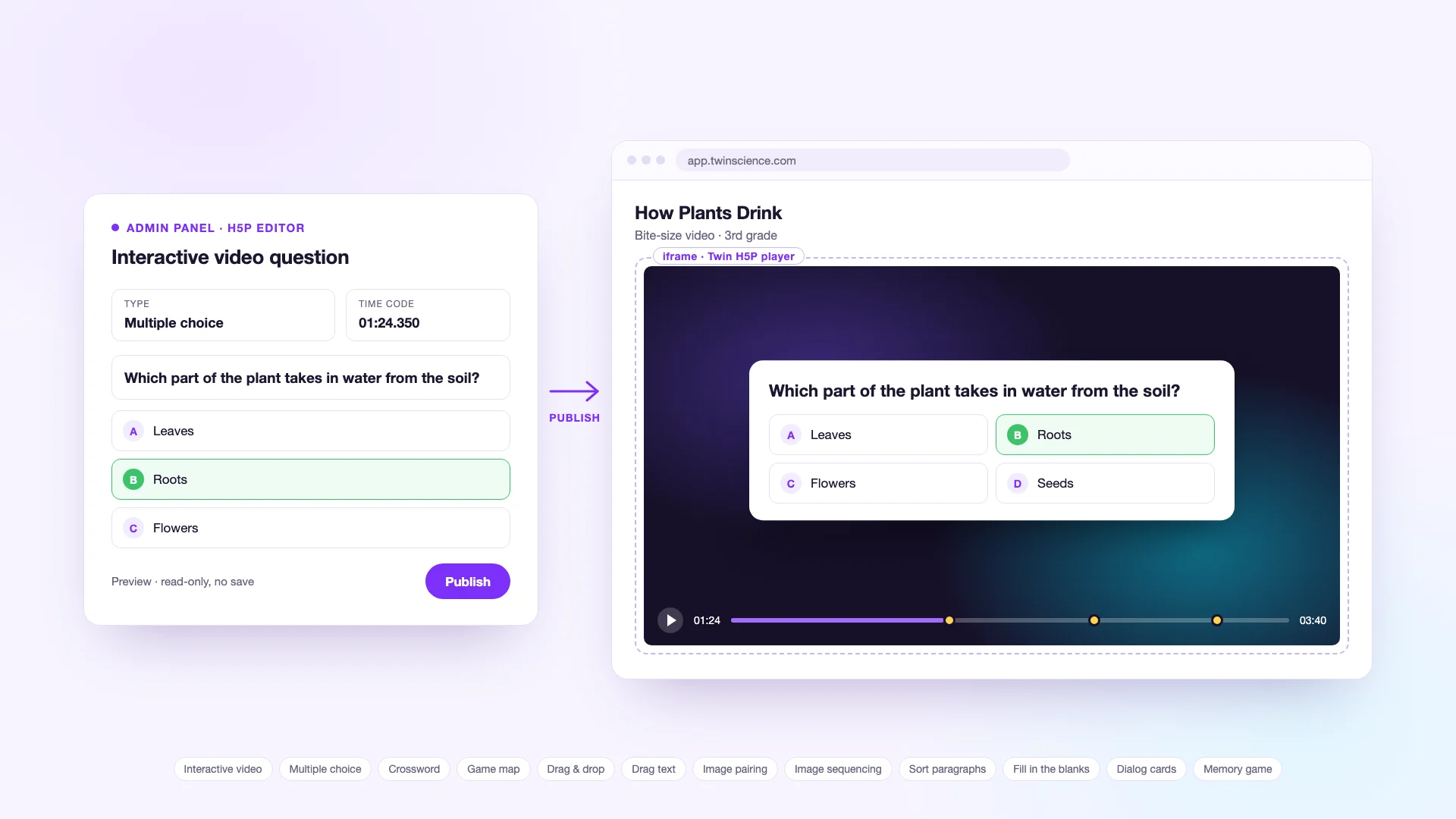 Twin Interactive Player